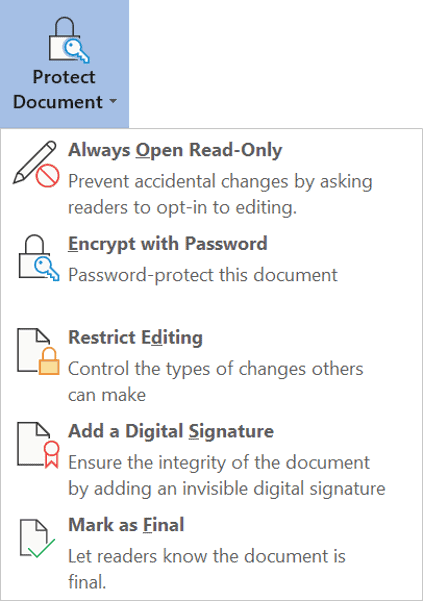 Protect Document menu in Word showing security options