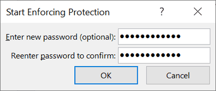 Start Enforcing Protection password dialog